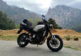 Occasion Yamaha XSR900