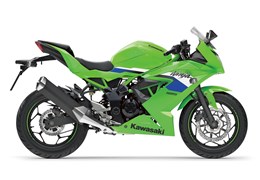 Neumotorrad Kawasaki Ninja 125