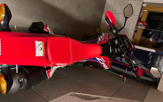 Gebrauchtmotorrad Honda CRF300L - Bild 3