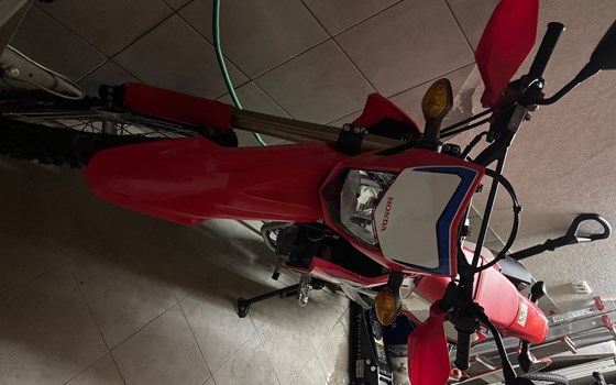 Gebrauchtmotorrad Honda CRF300L - Bild 4