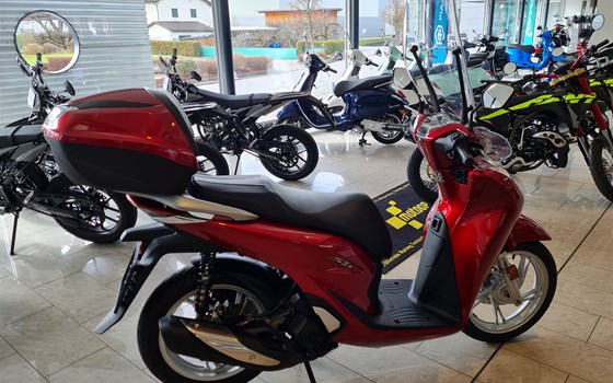 Gebrauchtmotorrad Honda SH125 - Bild 2