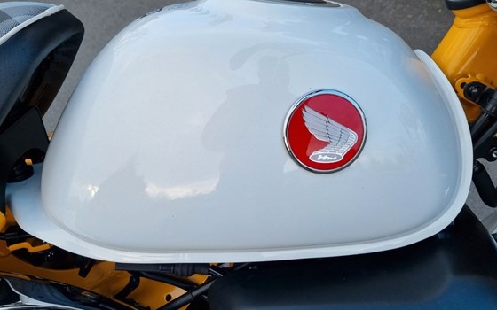 Neufahrzeug Honda Monkey 125 - Bild 11