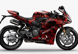 Neumotorrad Ducati Panigale V2 FB63