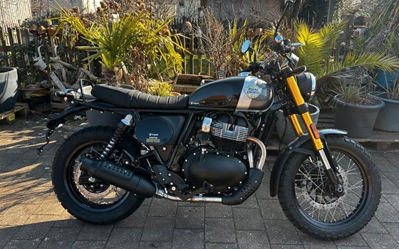 Neufahrzeug Royal Enfield Bear 650 - Bild 1