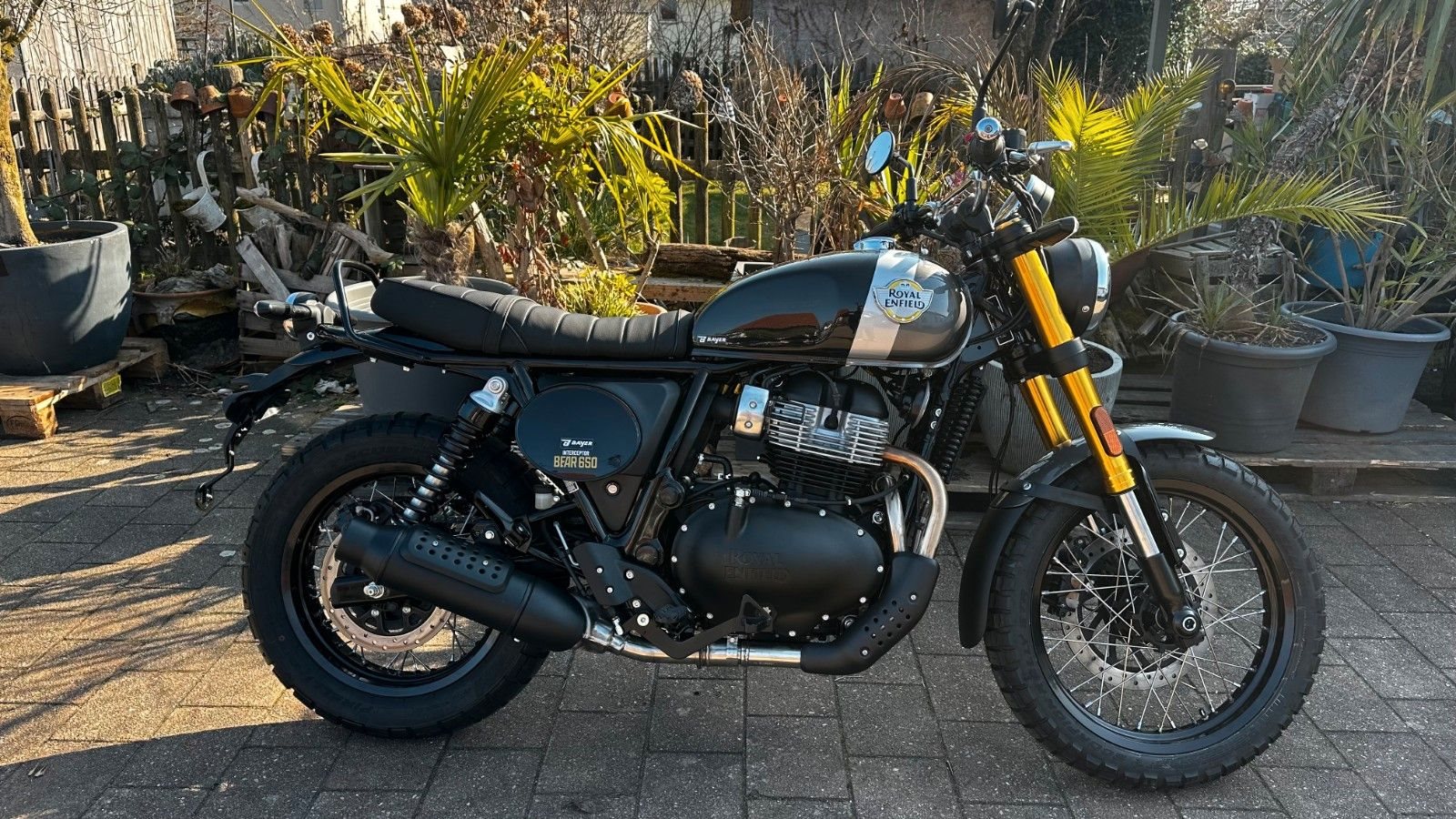 Royal Enfield Bear 650