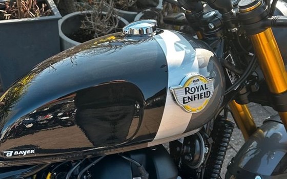 Neufahrzeug Royal Enfield Bear 650 - Bild 2