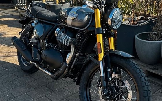 Neufahrzeug Royal Enfield Bear 650 - Bild 3