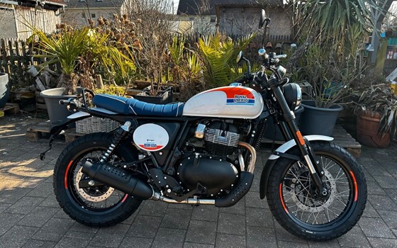 Neufahrzeug Royal Enfield Bear 650 - Bild 5