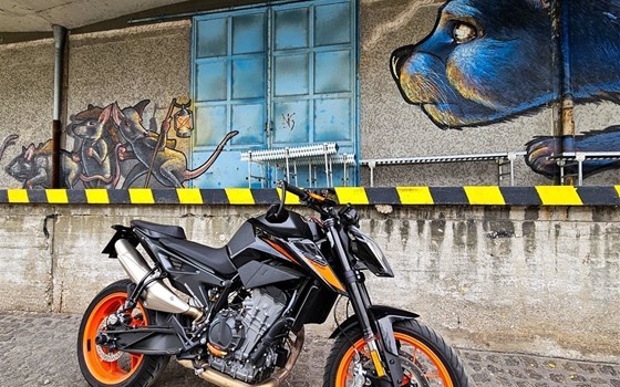 Gebrauchtmotorrad KTM 790 Duke - Bild 5