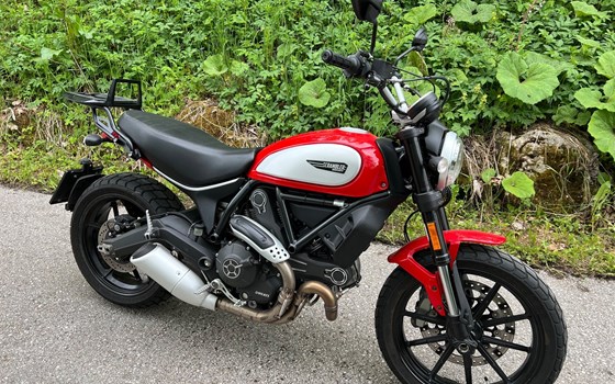 Gebrauchtmotorrad Ducati Scrambler Icon - Bild 5