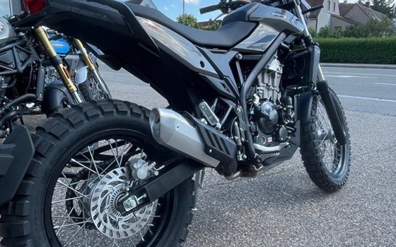 Neufahrzeug Beta Alp X - Bild 6