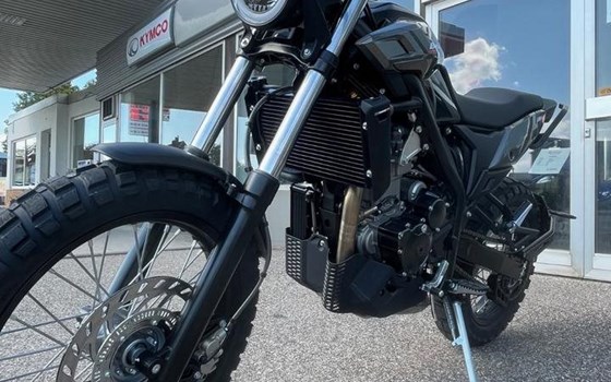 Neufahrzeug Beta Alp X - Bild 8