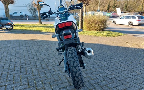 Neufahrzeug Kawasaki KLE500 SE - Bild 13