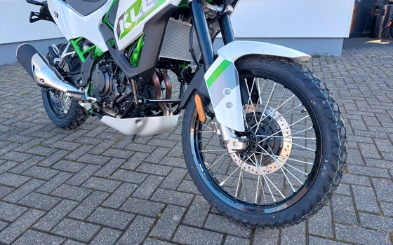 Neufahrzeug Kawasaki KLE500 SE - Bild 6