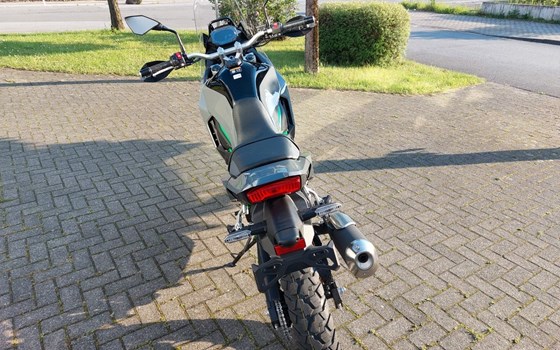 Neufahrzeug Kawasaki KLE500 SE - Bild 11
