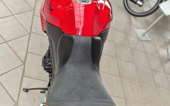 Gebrauchtmotorrad Triumph Tiger 1050 - Bild 3