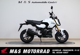 Neumotorrad Honda MSX 125