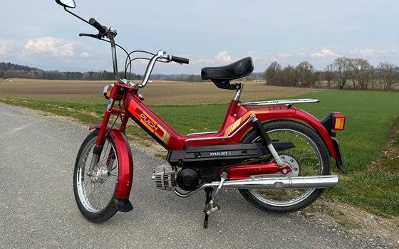 Gebrauchtmotorrad Puch Maxi - Bild 1