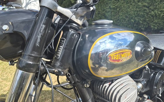 Gebrauchtmotorrad Triumph Boss - Bild 4