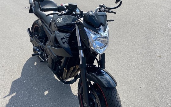 Gebrauchtmotorrad Yamaha XJ6 - Bild 5