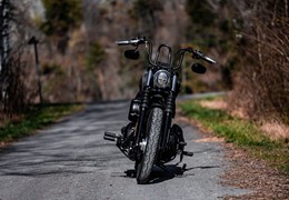Occasion Harley-Davidson Softail Street Bob FXBB