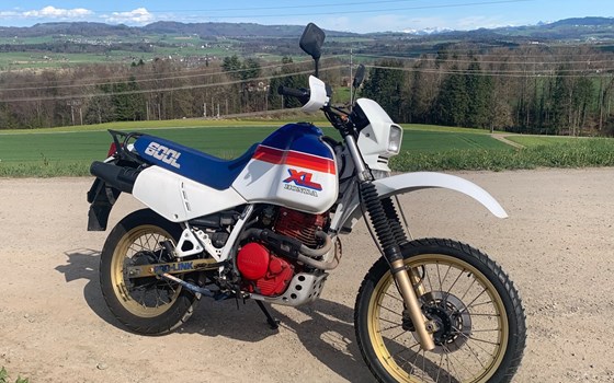 Motorrad Occasion Honda XL 600 - Bild 3