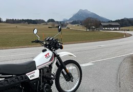 Gebrauchte Yamaha XT 250