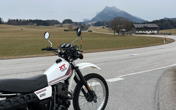 Gebrauchtmotorrad Yamaha XT 250 - Bild 1