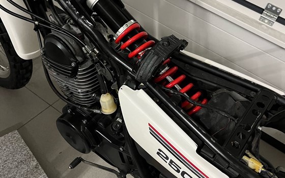 Gebrauchtmotorrad Yamaha XT 250 - Bild 4