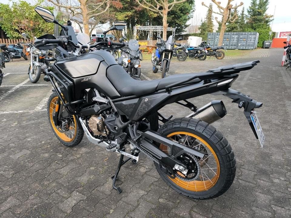 Angebot Voge DS800X Rally