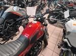 Angebot Benelli Leoncino 500 Trail
