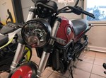 Angebot Benelli Leoncino 500 Trail