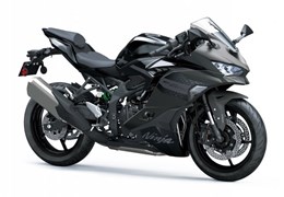 Neumotorrad Kawasaki Ninja ZX-4RR