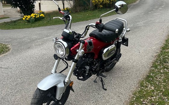 Gebrauchtmotorrad Honda Dax 125 - Bild 1