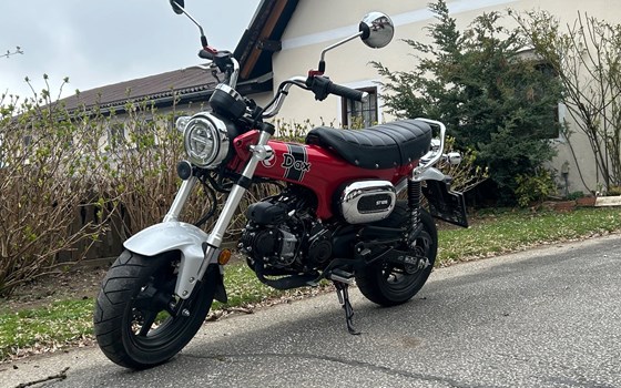 Gebrauchtmotorrad Honda Dax 125 - Bild 2