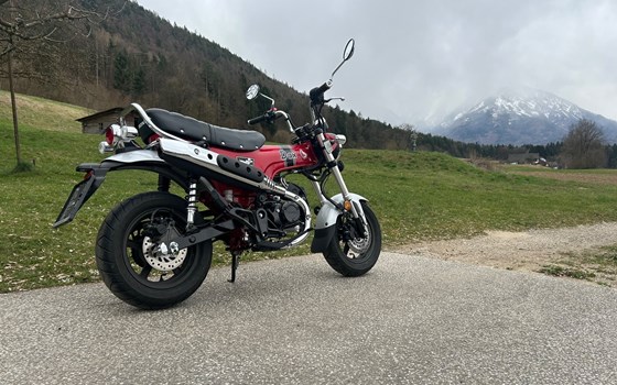 Gebrauchtmotorrad Honda Dax 125 - Bild 4