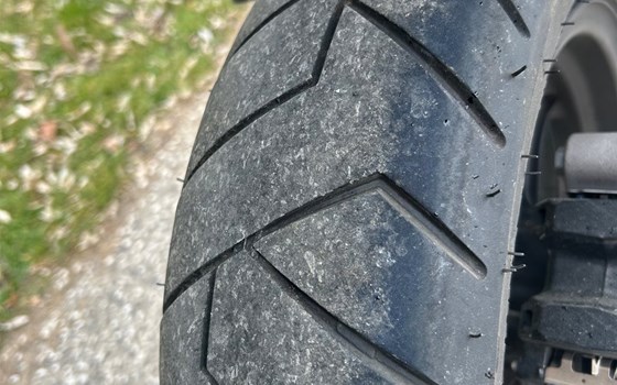 Gebrauchtmotorrad Honda Dax 125 - Bild 8