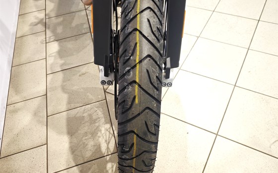 Neufahrzeug BMW F 900 GS - Bild 10