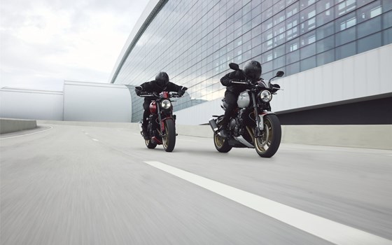 Neufahrzeug Triumph Trident 800 - Bild 13