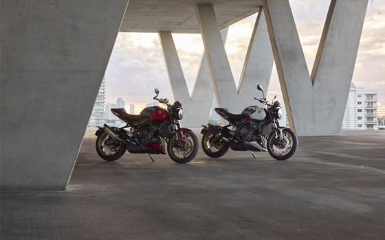 Neufahrzeug Triumph Trident 800 - Bild 17