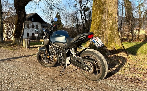 Gebrauchtmotorrad Honda CB650R - Bild 2