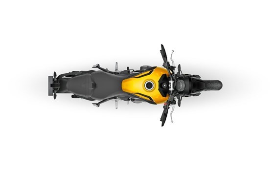 Neufahrzeug Triumph Trident 660 - Bild 16