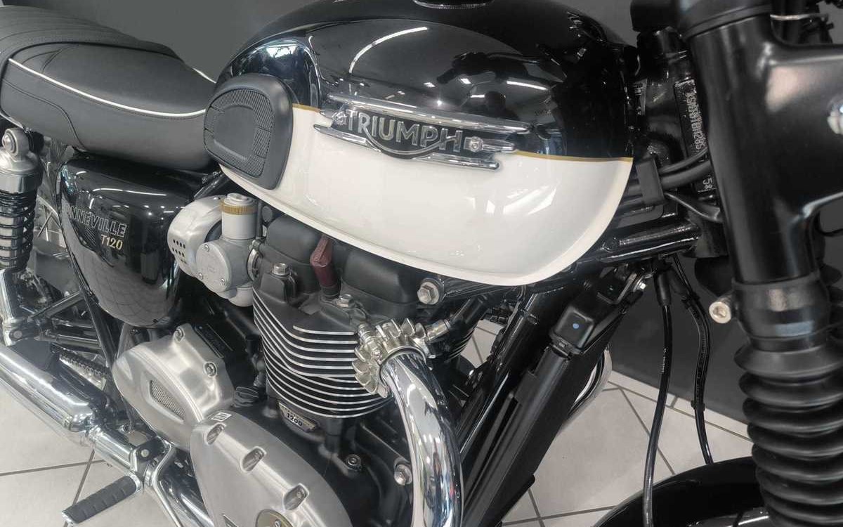 Angebot Triumph Bonneville T120