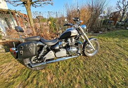 Gebrauchte Triumph Bonneville America