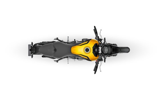 Neufahrzeug Triumph Trident 660 - Bild 12