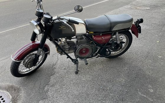 Motorrad Occasion Moto Guzzi Nuovo Falcone - Bild 4