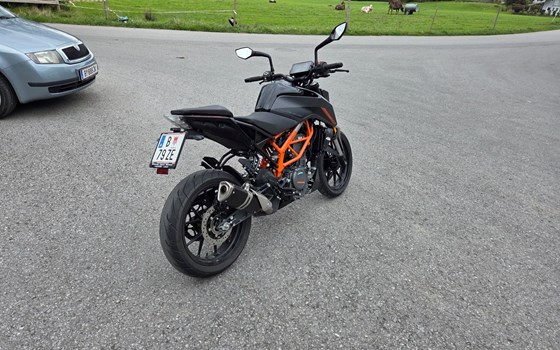 Gebrauchtmotorrad KTM 390 Duke - Bild 2