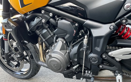Neufahrzeug Triumph Trident 660 - Bild 15