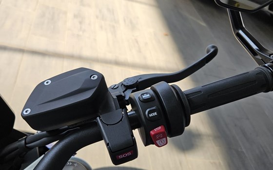 Gebrauchtmotorrad BMW F 900 R - Bild 12