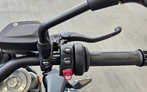 Neufahrzeug BMW F 900 R - Bild 7